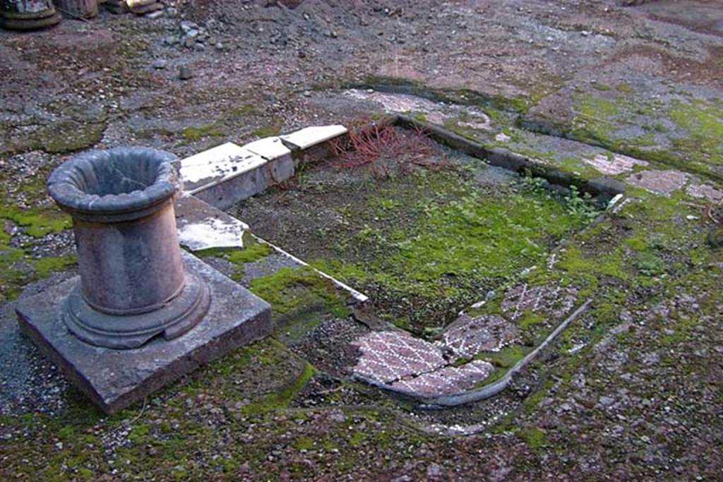 VI.17, Herculaneum. February 2003. Looking north-west across impluvium in atrium.
Photo courtesy of Nicolas Monteix.